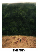 大唐盛世2中的神兽与宠物：如何捕获与培养